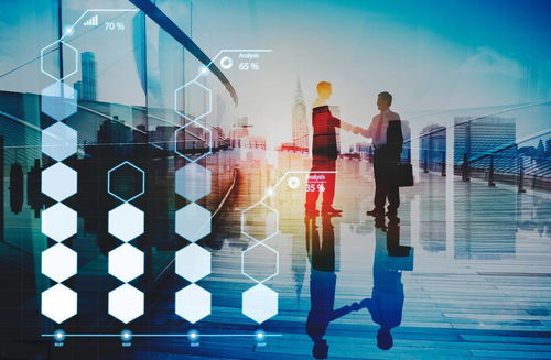 炎頌科技 企業信息化的內涵與外延與信息技術咨詢服務